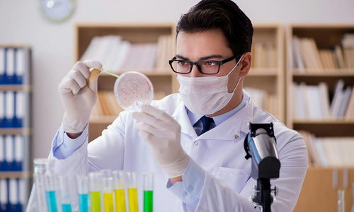 中國(guó)生物合成人乳寡糖技術(shù)領(lǐng)跑世界，恒魯生物獲華耀資本戰(zhàn)略投資助力技術(shù)推廣