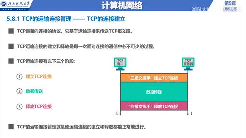計算機網(wǎng)絡信息咨詢 深入解析運輸層（第5層）的核心功能與應用